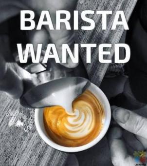 We are looking for a professional barista
