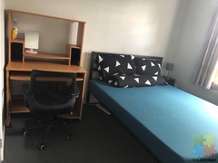 Double room available in Mt Eden