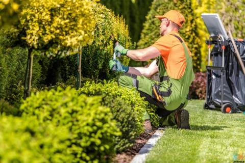 Looking for experienced Landscapers