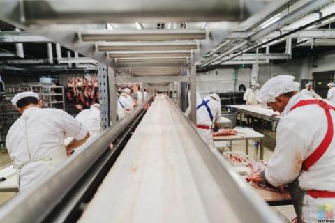 Meat process workers