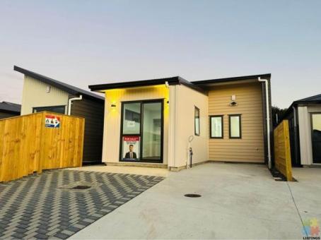 Brand new single level family home features 3 bedroom