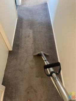Reliable Carpet Cleanings