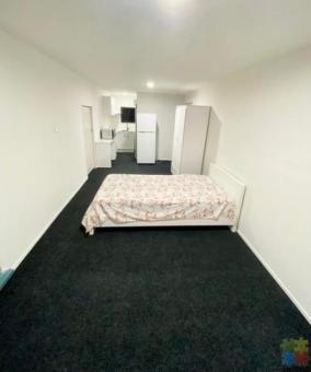 FOR RENT: A newly renovated studio unit