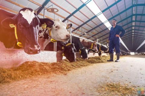 Part Time Stock Manager - For Dairy Grazing Limited