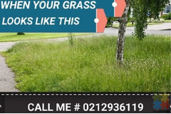 Offering lawn mowing services