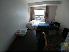 Auckland city Apartment rent (single room, couple room, 3 bedroom)