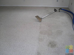Spring Specials - Carpet Cleaning & Pest Control