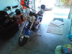 Any one keen to buy a Harleydavidson fat boy