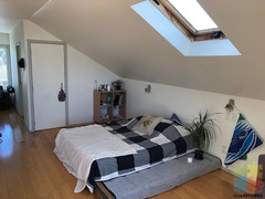 Auckland - Grey Lynn - Room for a couple to rent