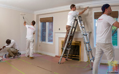 Experienced painter/foreman
