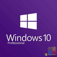 Microsoft Electronic Software Delivery. Windows 10 Pro and Office 2016 Pro