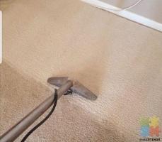 Carpet cleaning specials