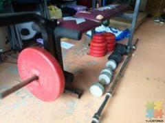 Weight bench + free weights